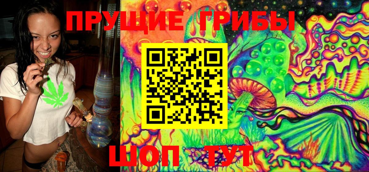 Галлюциногенные грибы Psilocybine cubensis  Вход с VPN  Муравленко  где купить наркотик  Галлюциногенные грибы Psilocybe 